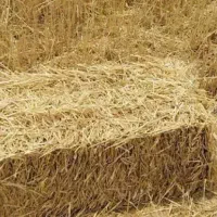 پرس کاه جو