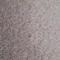 برنج فجر