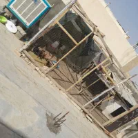 قفس تیر تخته تور مرغی