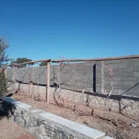 فروش چوب سقفی