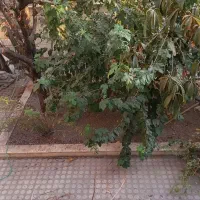 فوری-فروشی-ط-همکف