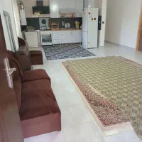 اجاره-ویلای-جنگلی