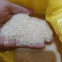 برنج  عنبر شوشتری