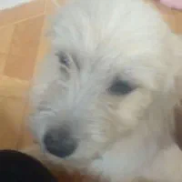 با وفا مهربون ساکت
