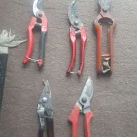 قیچی هرس .شلاغی و