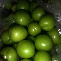 گوجه سبز ارگانیک