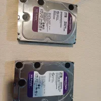 هارد وسترن بنفش 2TB