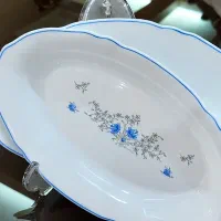 دیس الویه خوری آرکوپال اصل فرانسه لومینارک