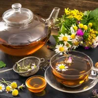 آموزش و یادگیری طب سنتی