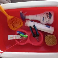 وسایل گربه