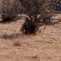 فروش باغ شهر