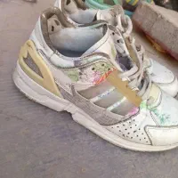 zx سالم