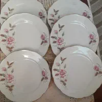سالاد خوری