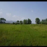 فروش زمین در نوشهر  خیابان مطهری مطهری غربی
