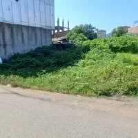 زمین مسکونی و تجاری تالش