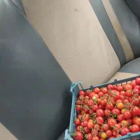 گوجه ریز اصلی ترش به شرط آبدار بودن