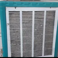 کولرابی سالم به شرط