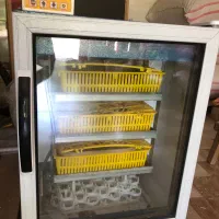 دستگاه جوجه کشی