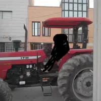 فرگوسن ۳۹۹