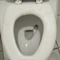 توالت فرنگی