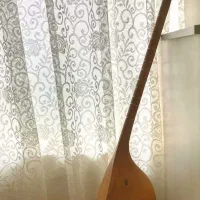 دوتار حرفه ای