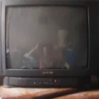 تلویزیون