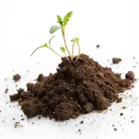 خاک گل و گیاه