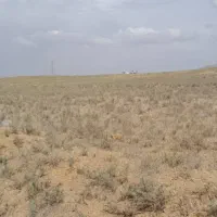 فروش زمین