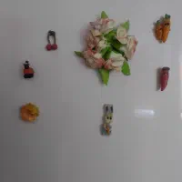 مگنت یخچال