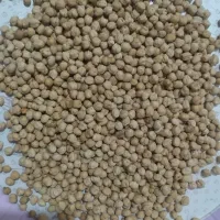 نخود ارومیه