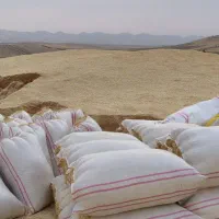کاه|لوازم جانبی حیوانات|اصفهان, شاهزاده ابراهیم|دیوار