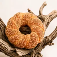 کارگر ساده خانم
