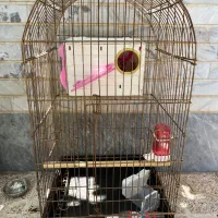 قفس پرنده