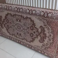۲ جفت پشتی