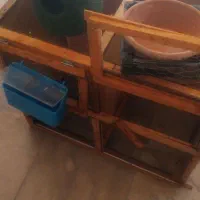 لانه ی توری کوچک