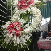 تاج گل طبیعی