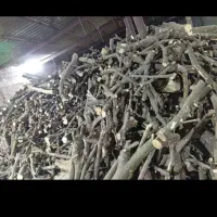 خرید چوب و برش درختان با نیروی ماهر