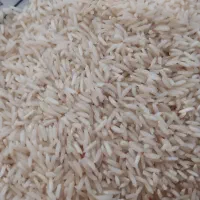 برنج هاشمی محلی