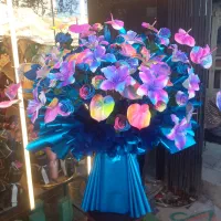 نیازمند نیرو خانم