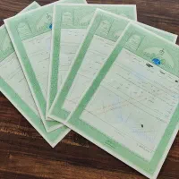 زمین سندتک برگ فرهنگ شهر