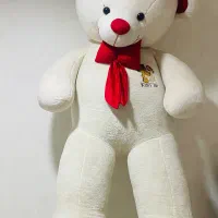 خرس دومتری
