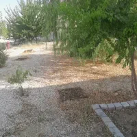 زمین-شهرک-الزهرا-کرند-غرب