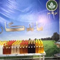 روغن ارگان مراکش معطر بصورت گالنی و عمده