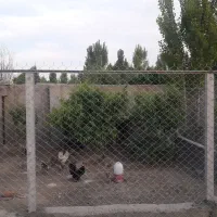 تولیدکننده پایه بتنی گالوانیزه فنس باکیفیت