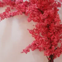 درختچه شکوفه مدل ال