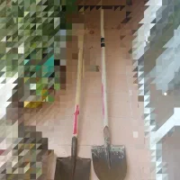 بیل