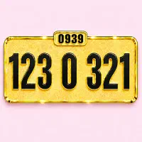 1 2 3  0  3 2 1 .0939 خـطـوط استثنــایــی VIP