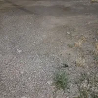 شهرفیروزه بزغان خیابان وحدت