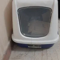 ظرف خاک گربه