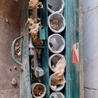 بکس جک آچار